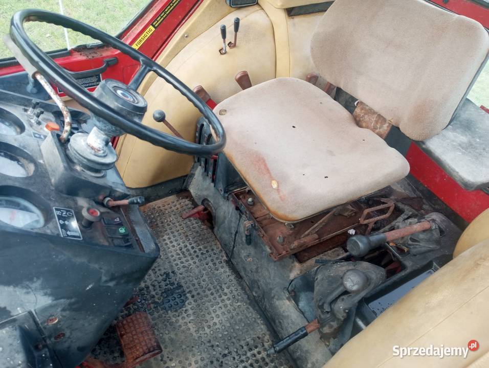 International 685 wielkopolskie Buk