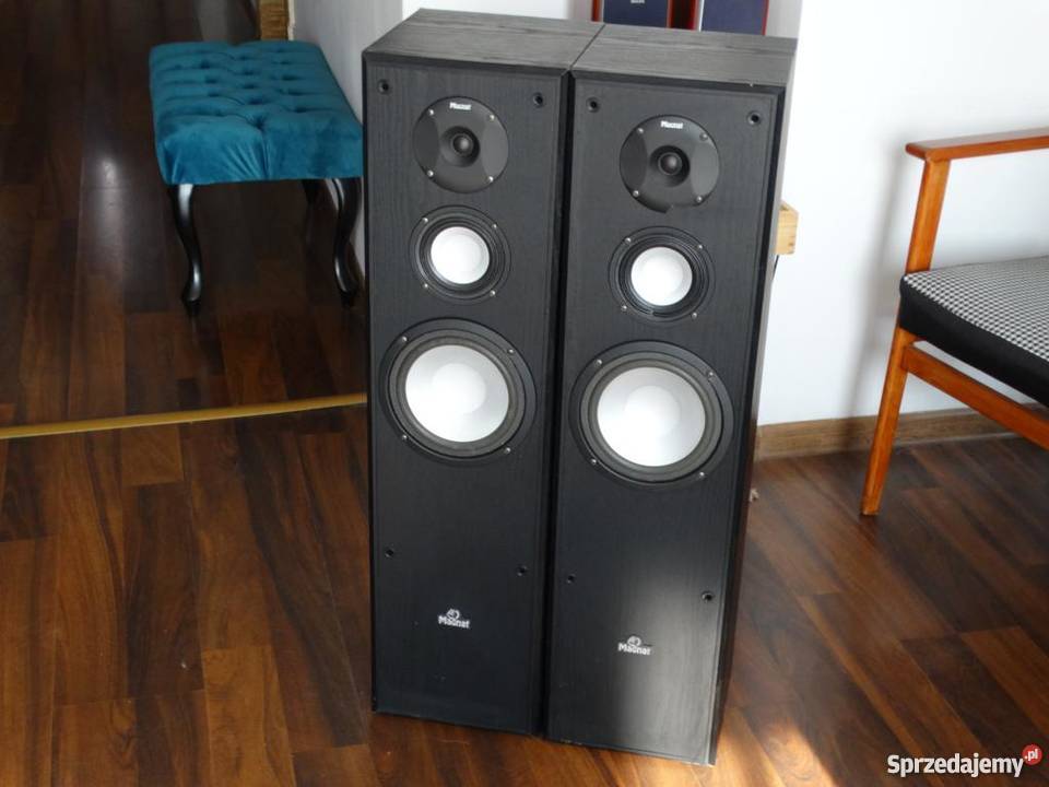 Mocne kolumny Magnat 2 x 240 wat WYSYŁKA podkarpackie Jasło sprzedam