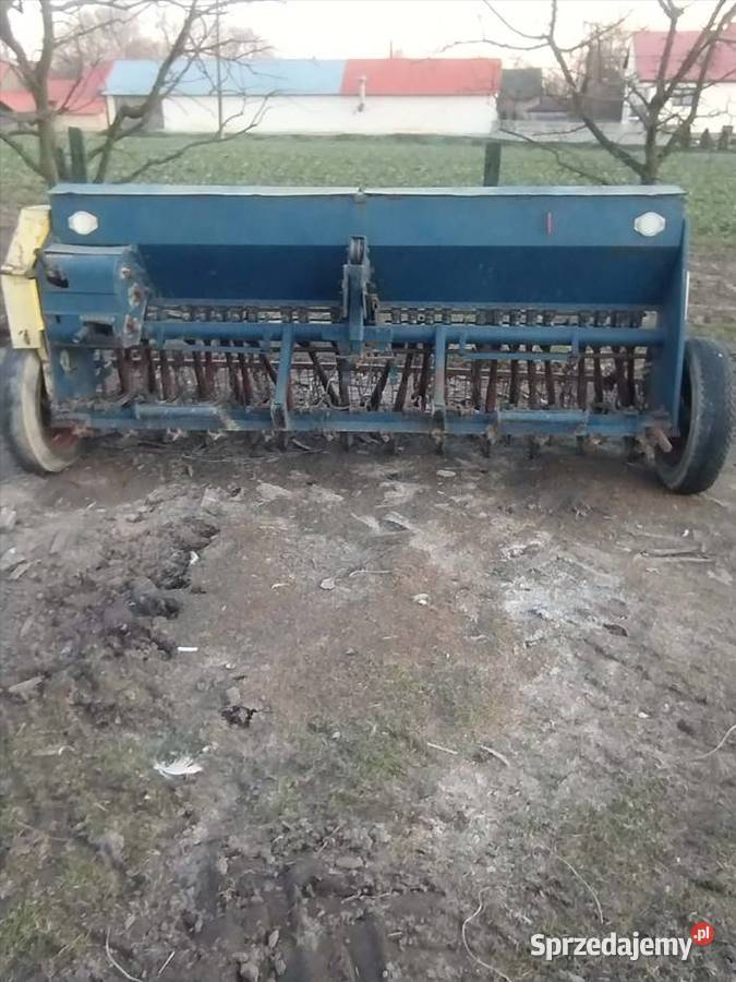 Siewnik poznaniak Biłgoraj