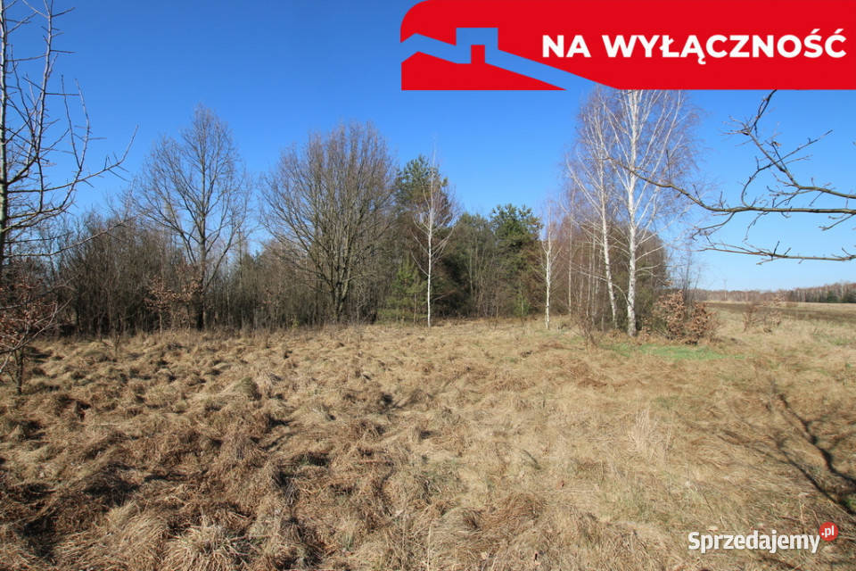 Działka rolnobudow Wola Mieczysławska gLubartów asfalt