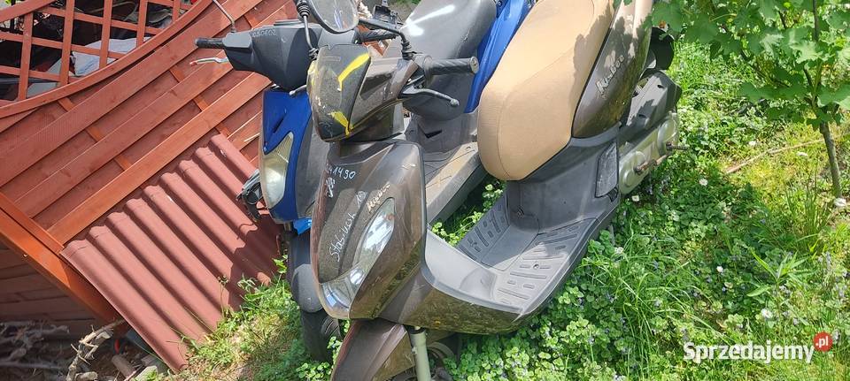 Pakiet 6 markowych skuterów Piaggio Peugeot