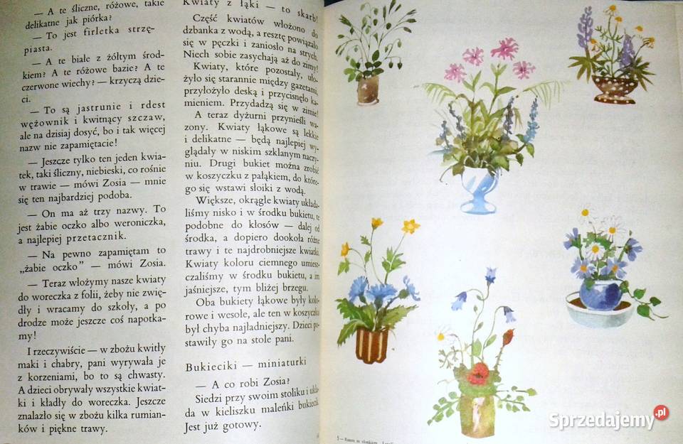 Razem ze słonkiem Lato 3 Maria Kownacka miękka Chełm