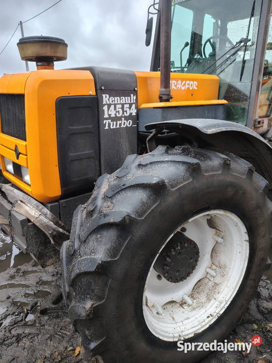 Sprzedam pomorskie Chrósty Wysińskie