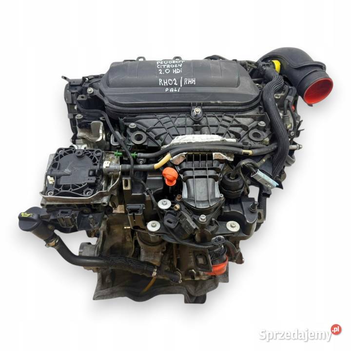 SILNIK RHH RH02 Fiat Scudo II Toyota Proace 20