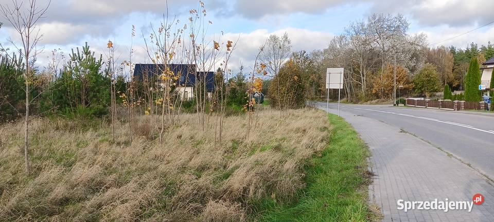 3 działki z MPZP w Wychowie k Luzina Sychowo