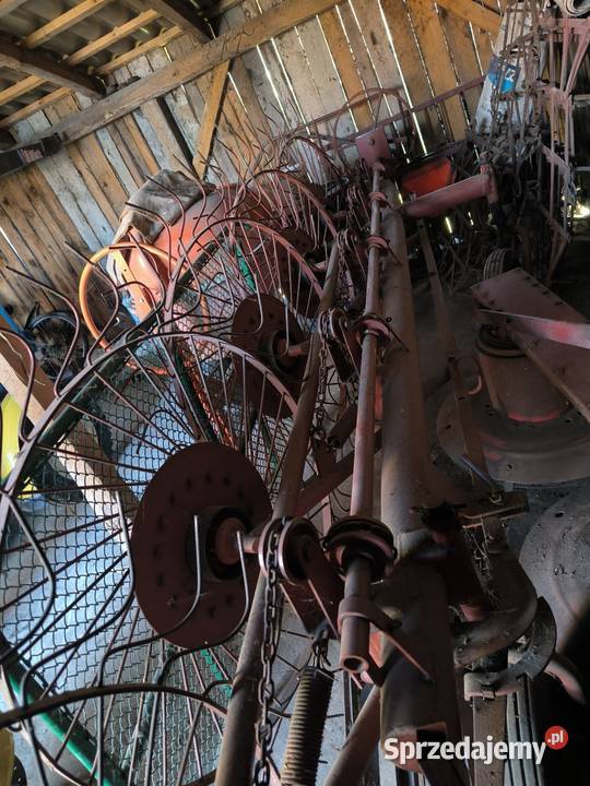 Likwidacja gospodarstwa świętokrzyskie Włoszczowa