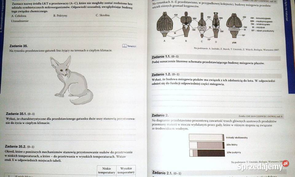 Biologia na czasie 2 Maturalne karty pracy D Chełm