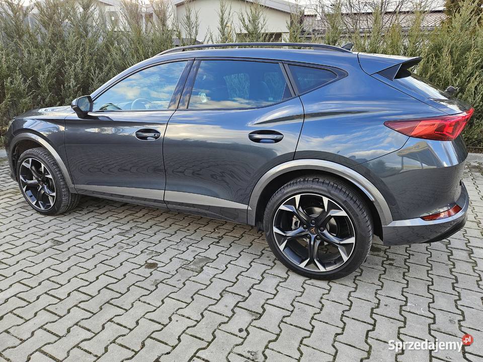 Cupra Formentor 20 TSI 190 DSG 4Drive Korsze