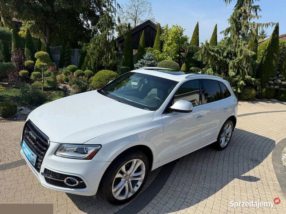 Audi SQ5 30 TFSI Quattro Tiptronic 354 2016r nieuszkodzony wielkopolskie Krotoszyn