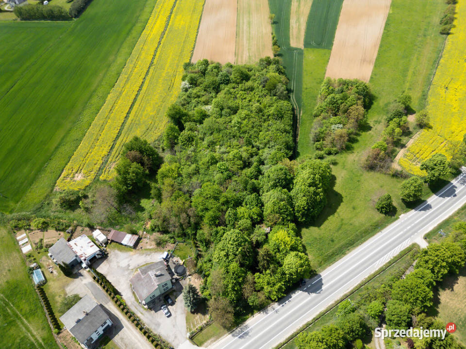 Działka inwestycyjna usługowa 7426m2 Opatów