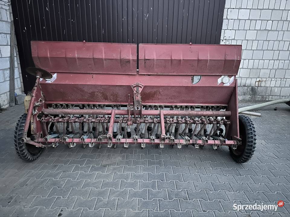 Siewnik poznaniak Stężyca