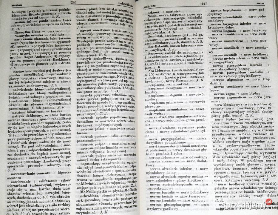 Słownik terminologii stomatologicznej K Dominik lubelskie