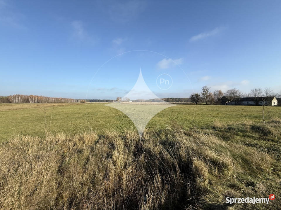 Działka dom modułowy CZEMU NIE lubelskie Międzyleś