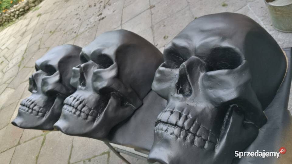 Czaszki laminat krzesło loft Krzesła Gdańsk sprzedam