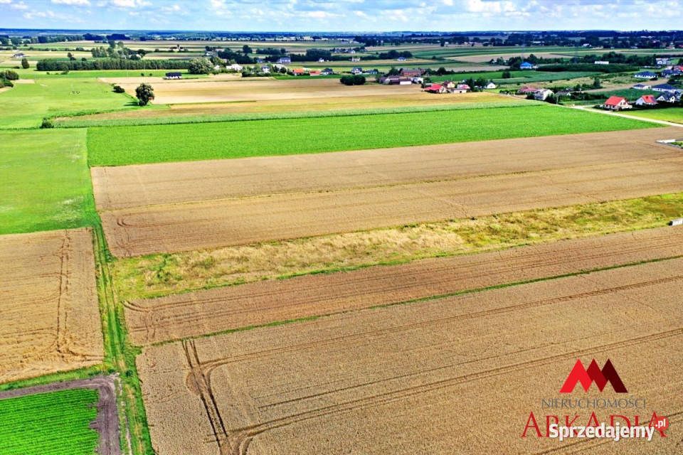 Działka 1193m2 Grodztwo sprzedam