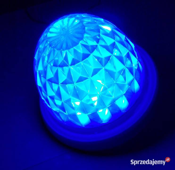 KOGUT LAMPA LED SYGNALIZACYJNA NIEBIESKA 1224V