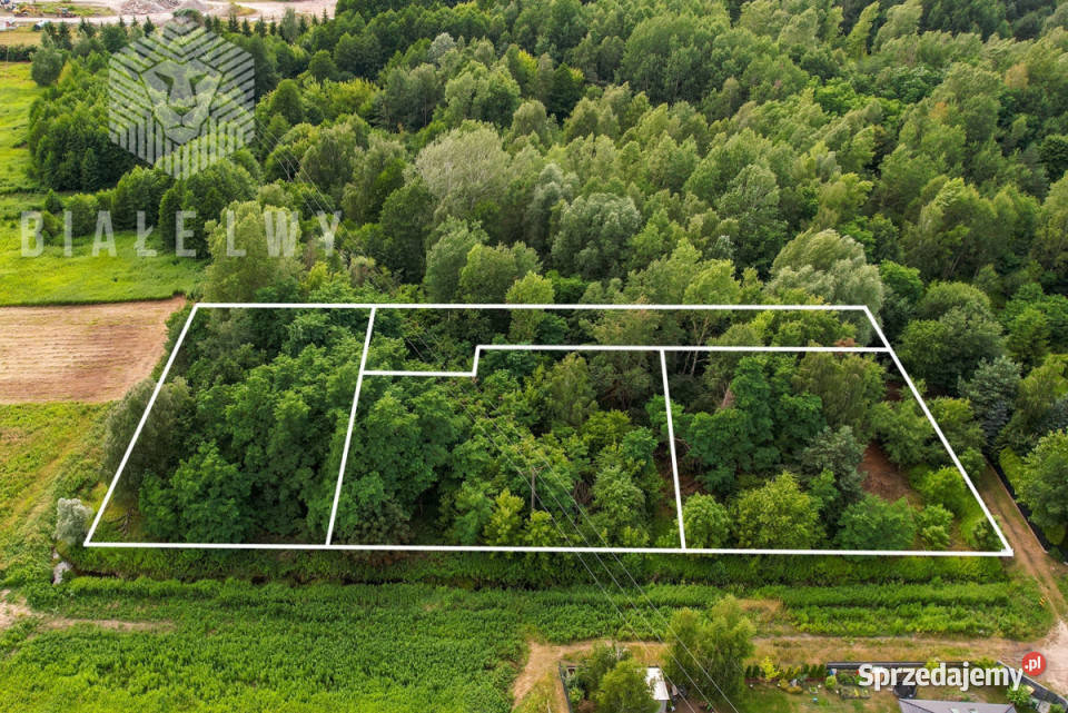 Grunt do sprzedania Wilcza Góra 3585m2