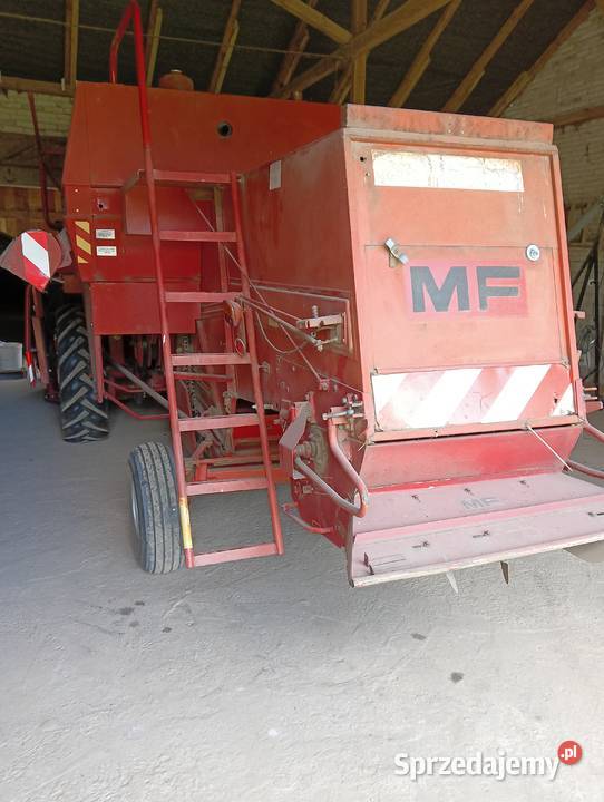 MF 240 małopolskie Trzyciąż
