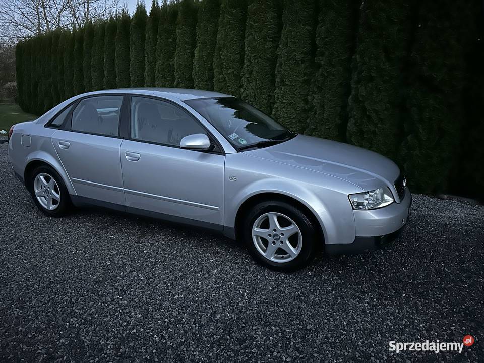 Audi A4 16 MPI 102 ESP A4 Tarnobrzeg