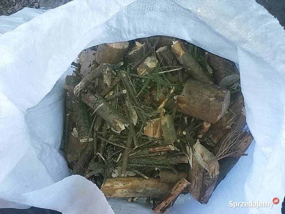 Opał zrębki sosnowe suche Kołobrzeg sprzedam
