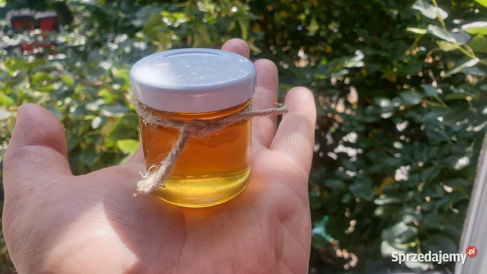 Podziękowanie gości Łódź