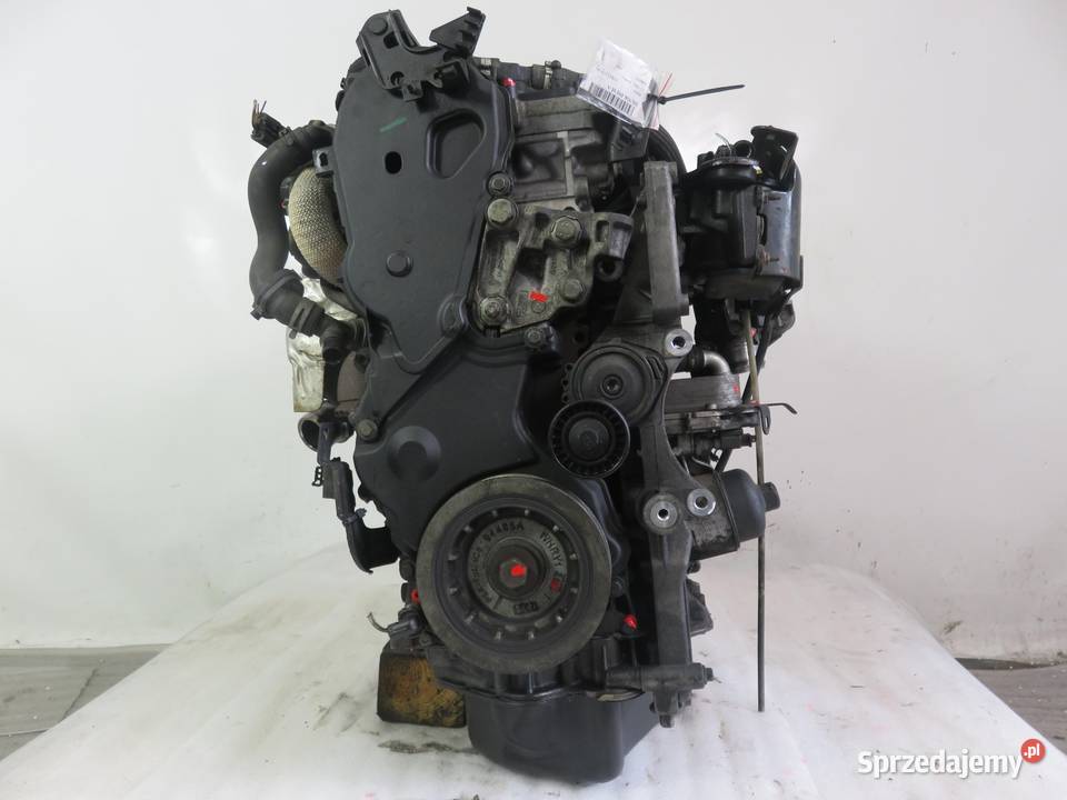 SILNIK FORD S 22 TDCi KNWA KOMPLETNY
