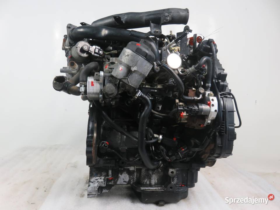 SILNIK OPEL ASTRA III H 17 CDTI 80 Z17DTL osobowe Motoryzacja