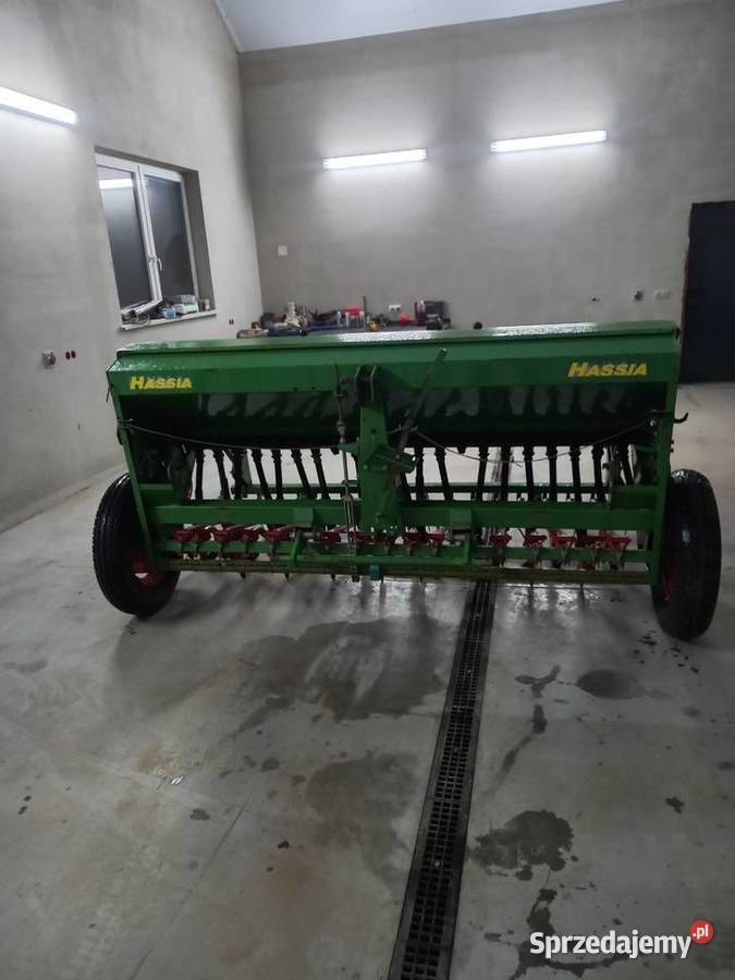 Siewnik hassia dk podkarpackie Pilzno