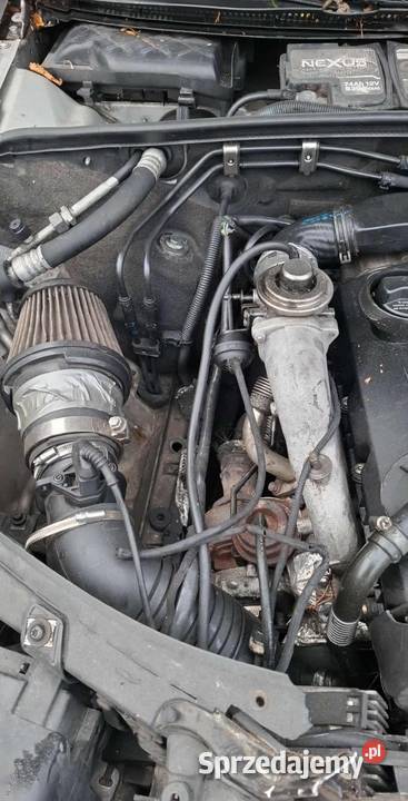 AUDI A4 B6 Na CZĘŚCI TANIO Łąg
