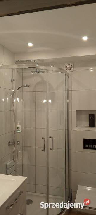 Wynajem minikoparki usługi remontowe wielkopolskie