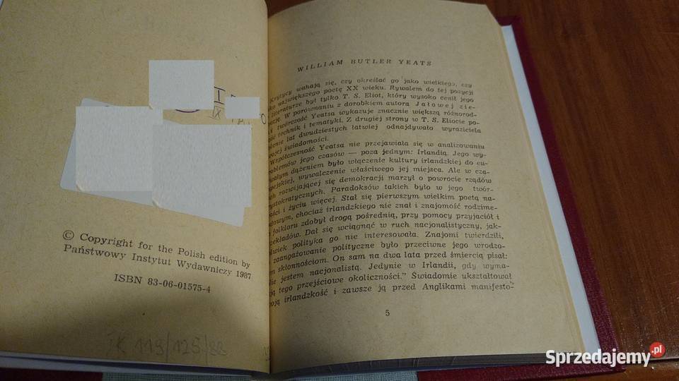 Poezje wybrane William Butler Yeats wybrał Gdańsk
