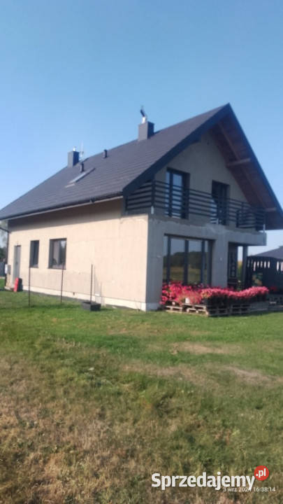 Udział 12 w nieruchomości gruntowej zabudowanej łódzkie Wola Buczkowska sprzedam
