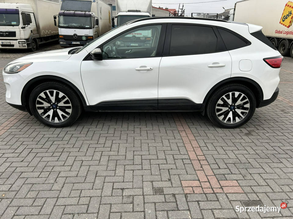 Ford Escape Hybryda 25 niskie spalanie II 2008 Siedlce