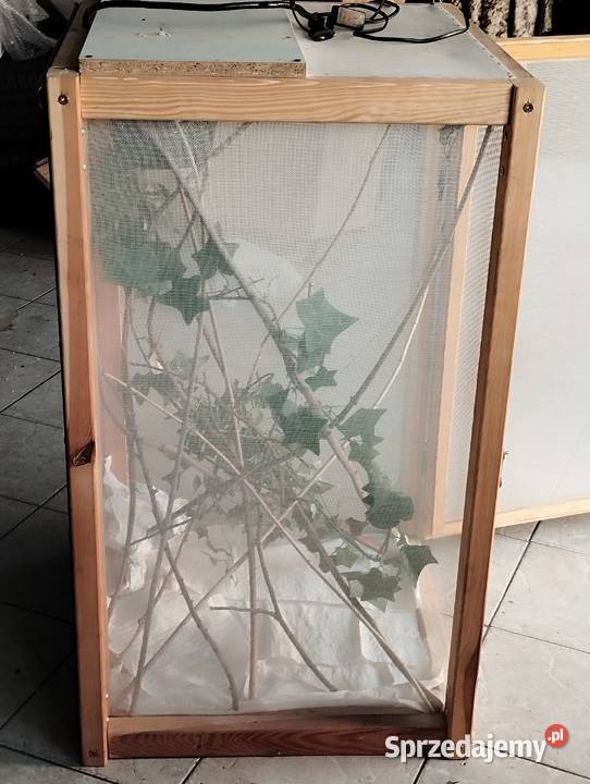 Terrarium kameleonajaszczurki duże wyposażone Terrarystyka Zwierzęta