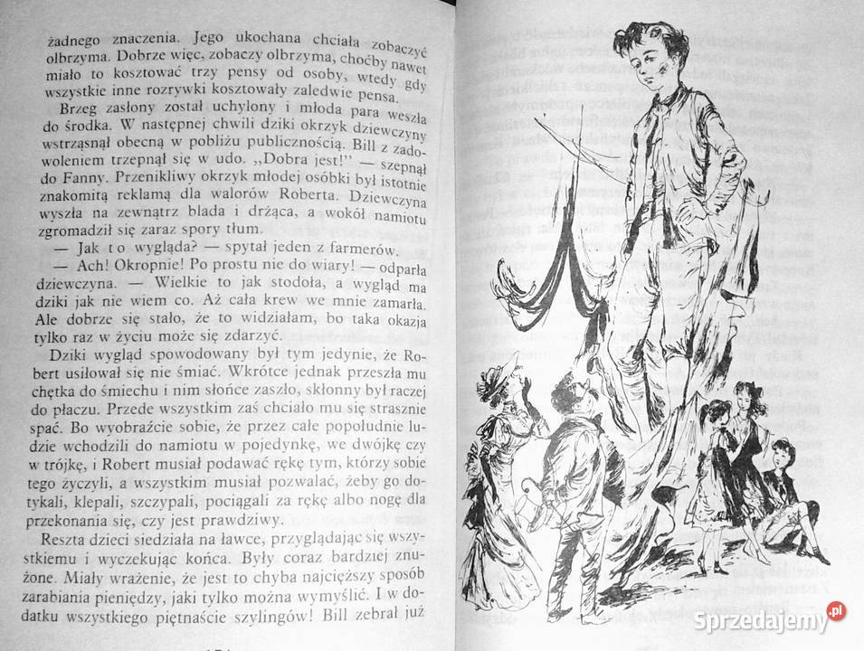 Pięcioro dzieci i coś Edith Nesbit Chełm