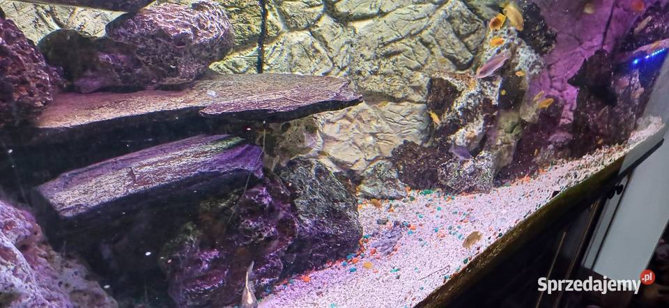 Akwarium 750l filtry życie komplet Kąty Węgierskie sprzedam