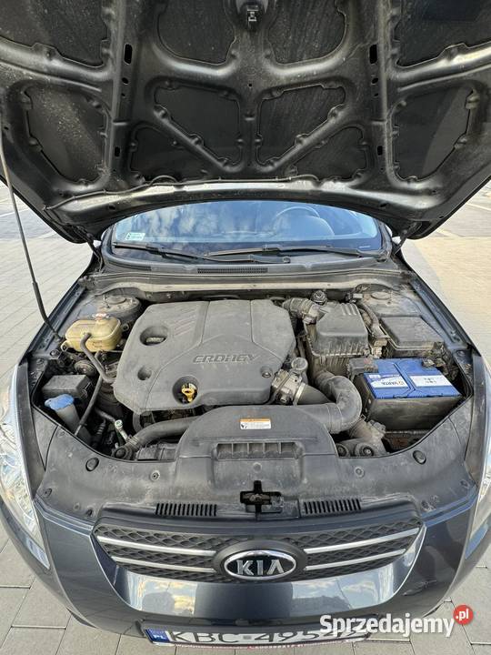 Kia proceed 2009 16 Diesel 115 Rok produkcji 2009 Kraków