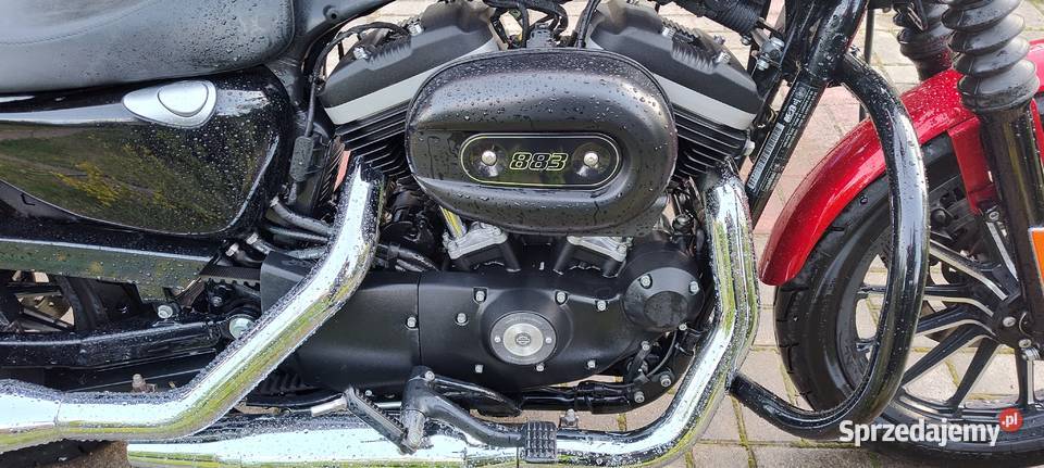 Iron 883 polski salon niski przebieg zadbany mazowieckie