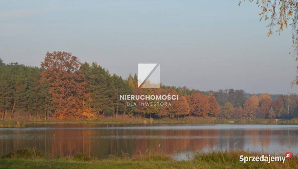 Działka budowlana 4000 mkw widok na staw Wełmin