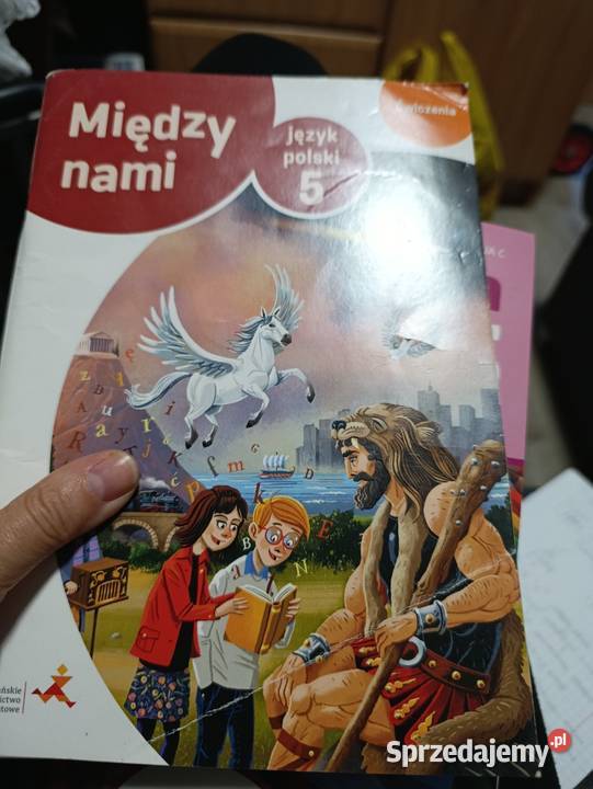między nami język polski ćwiczenia klasa 5 skrypt, zeszyt ćwiczeń, zbiór zadań, testów sprzedam