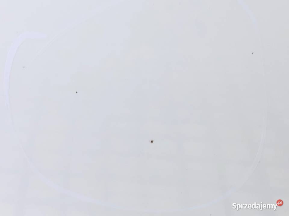 DRZWI LEWY TYŁ AUDI A6 C6 Kombi 0411