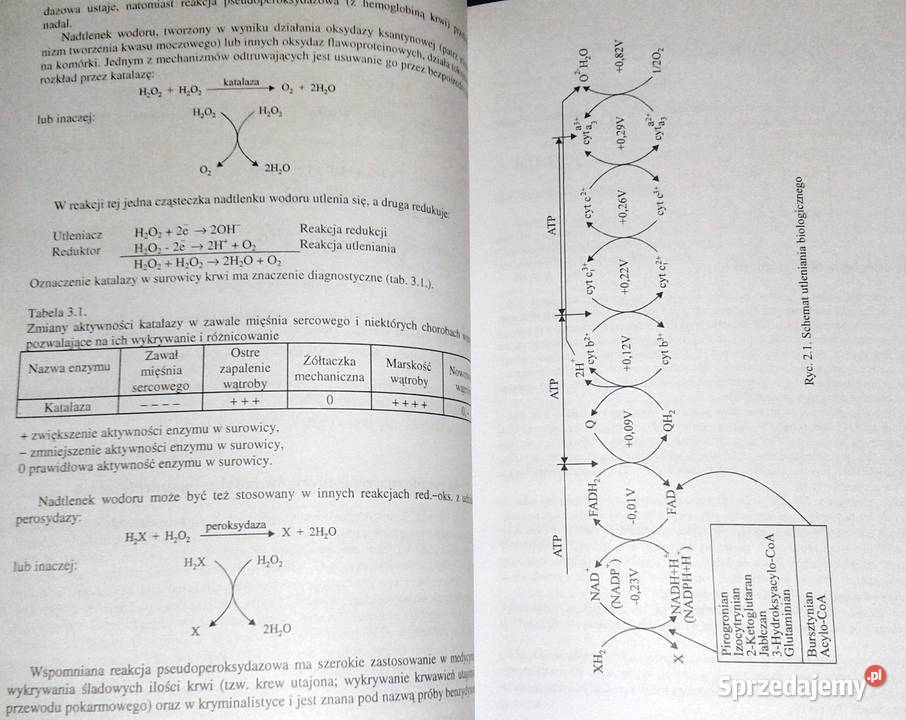 Chemia repetytorium kandydatów Tadeusz Gałamon sprzedam