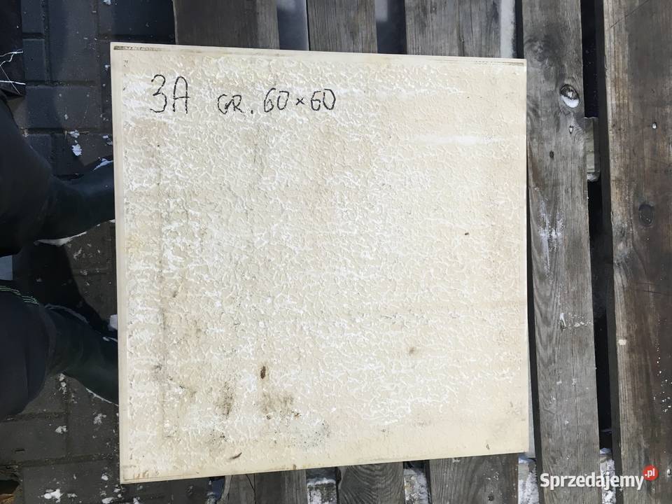 Gres płytka podłogowa leonardo 598x598 firmy Reguły