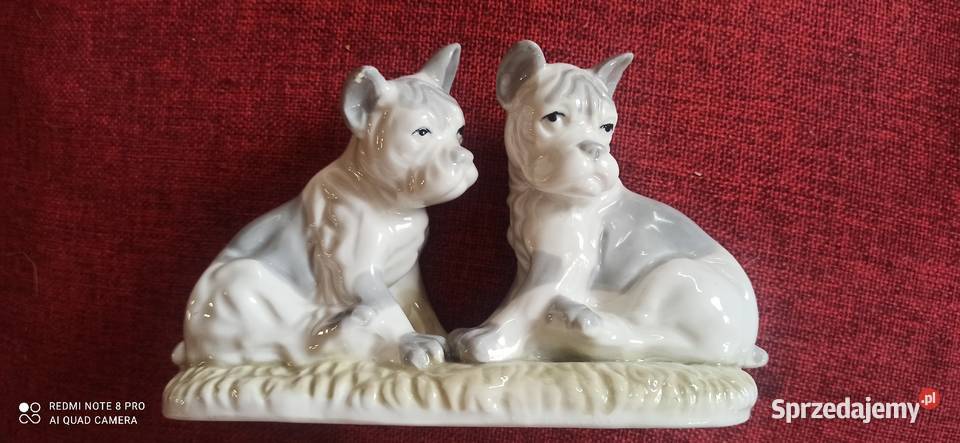 Figurka porcelanowa 2 Pieski
Śliczna bez Gdańsk