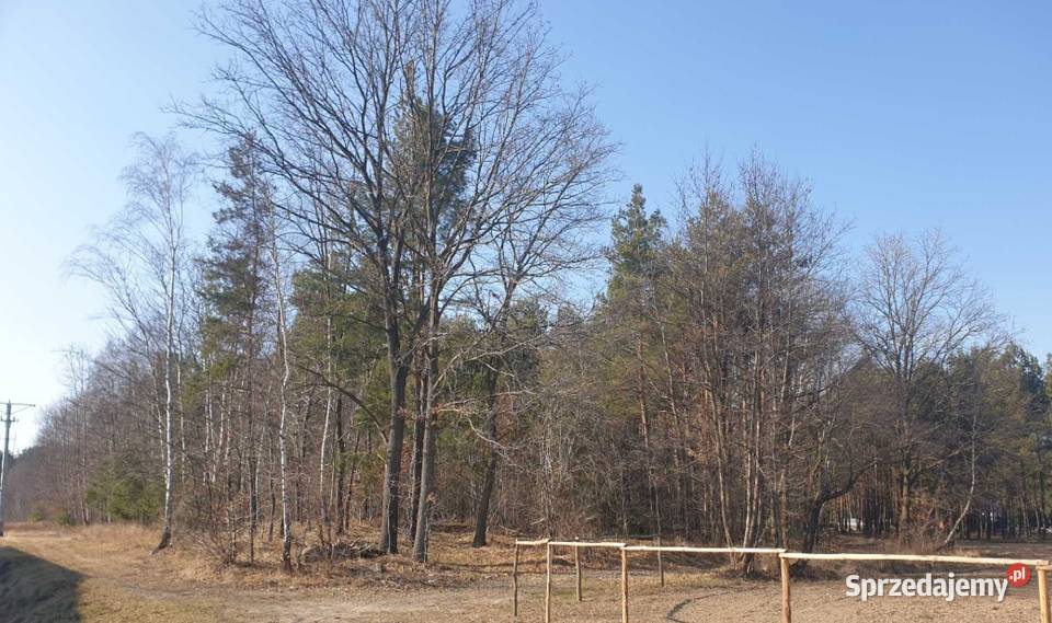 Dzialka lesna mozliwosc budowy domku Nieruchomości podkarpackie Czarna