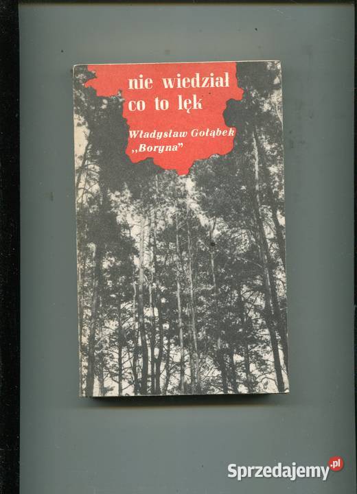 Nie wiedział co to lęk Władysław Gołąbek Boryna Szczecin