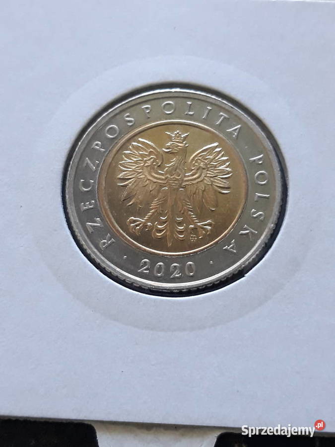 5 2020 rnajrzadszamennicza Konin