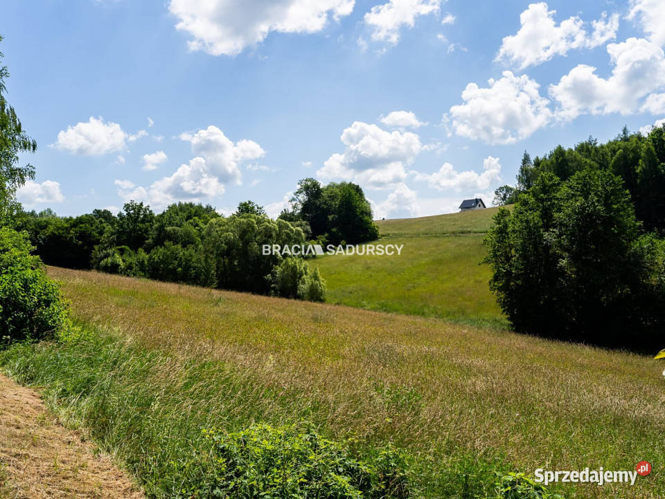 Działka 12200m2 Rzepiennik Strzyżewski 60m