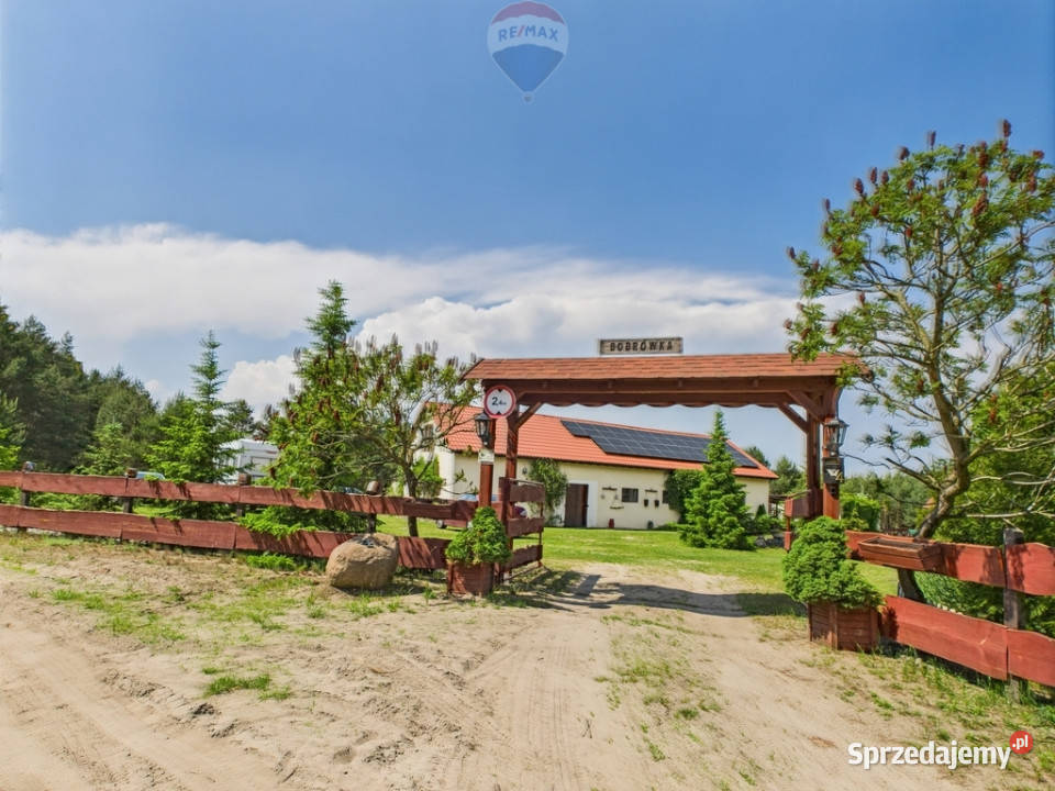Ranczo w lesie z wyspą stawem basenem stajnią Sprzedaż Gnojno