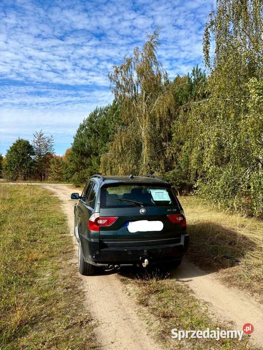 BMW E 83 X3 30 D 256